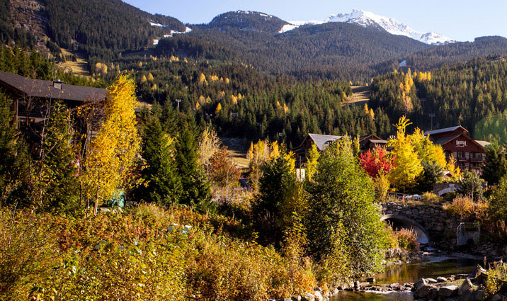 Whistler in Fall